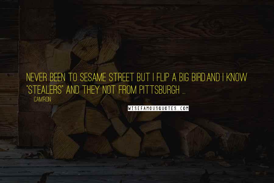 Cam'ron Quotes: Never been to Sesame Street but I flip a Big Bird.And I know "stealers" and they not from Pittsburgh ...