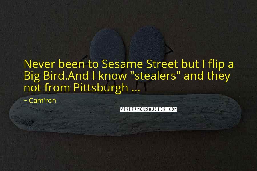 Cam'ron Quotes: Never been to Sesame Street but I flip a Big Bird.And I know "stealers" and they not from Pittsburgh ...