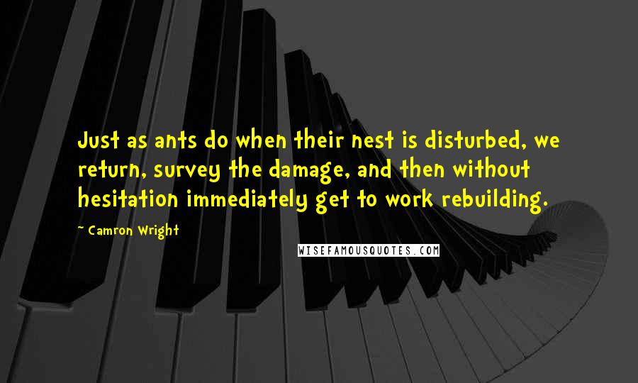 Camron Wright Quotes: Just as ants do when their nest is disturbed, we return, survey the damage, and then without hesitation immediately get to work rebuilding.