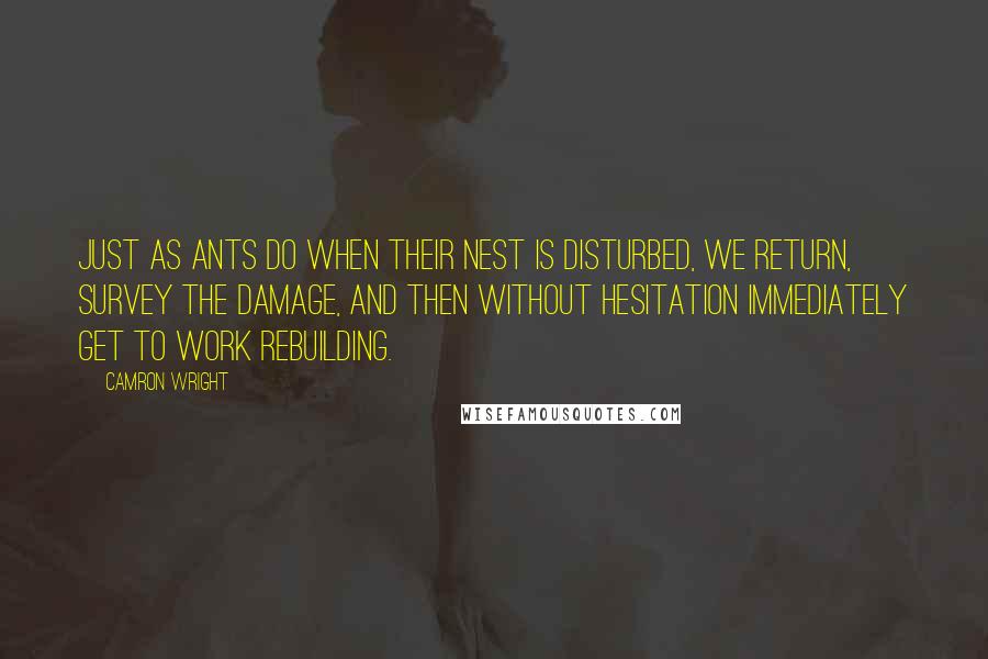 Camron Wright Quotes: Just as ants do when their nest is disturbed, we return, survey the damage, and then without hesitation immediately get to work rebuilding.