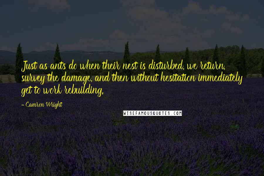 Camron Wright Quotes: Just as ants do when their nest is disturbed, we return, survey the damage, and then without hesitation immediately get to work rebuilding.