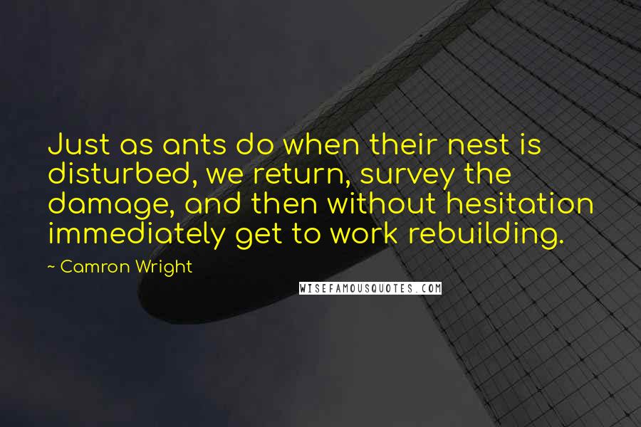 Camron Wright Quotes: Just as ants do when their nest is disturbed, we return, survey the damage, and then without hesitation immediately get to work rebuilding.