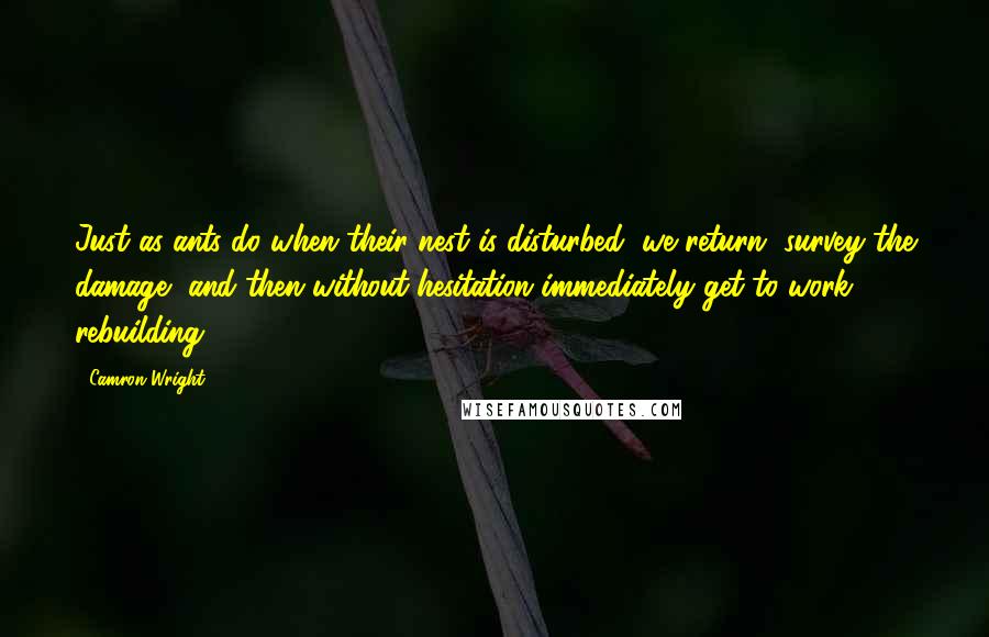 Camron Wright Quotes: Just as ants do when their nest is disturbed, we return, survey the damage, and then without hesitation immediately get to work rebuilding.