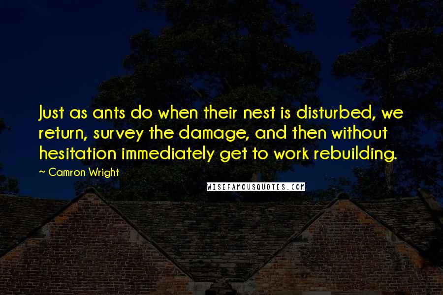 Camron Wright Quotes: Just as ants do when their nest is disturbed, we return, survey the damage, and then without hesitation immediately get to work rebuilding.