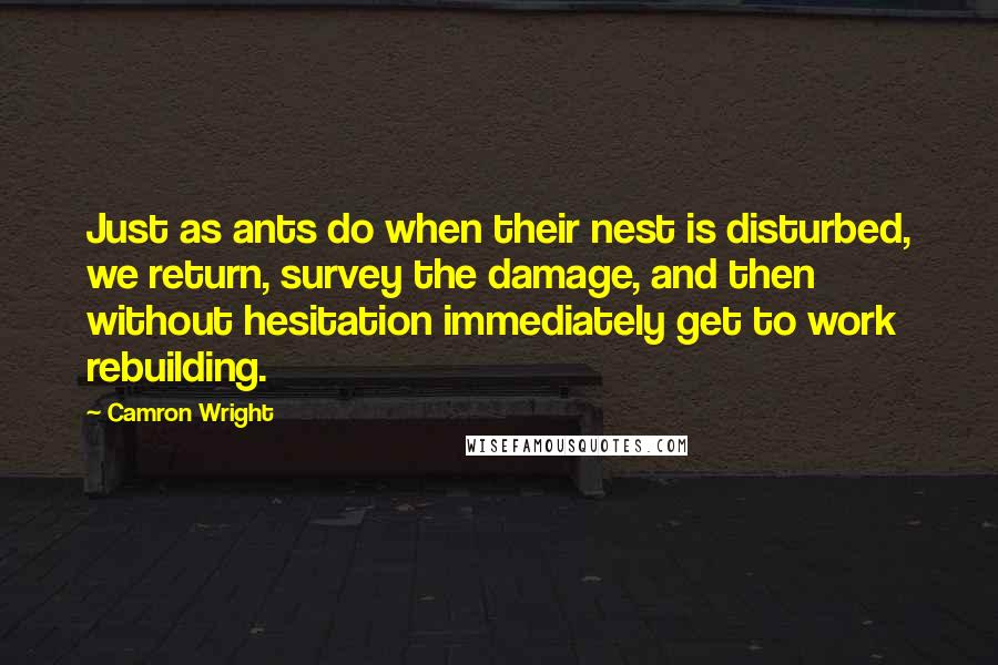 Camron Wright Quotes: Just as ants do when their nest is disturbed, we return, survey the damage, and then without hesitation immediately get to work rebuilding.