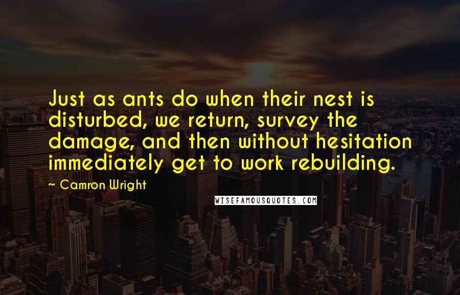 Camron Wright Quotes: Just as ants do when their nest is disturbed, we return, survey the damage, and then without hesitation immediately get to work rebuilding.