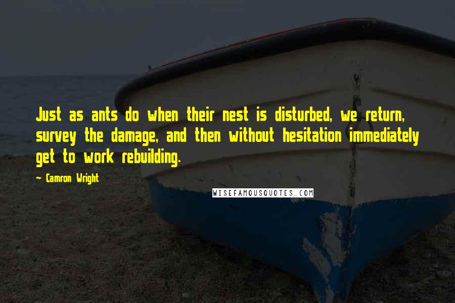 Camron Wright Quotes: Just as ants do when their nest is disturbed, we return, survey the damage, and then without hesitation immediately get to work rebuilding.