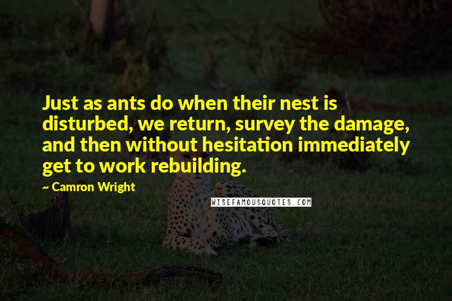 Camron Wright Quotes: Just as ants do when their nest is disturbed, we return, survey the damage, and then without hesitation immediately get to work rebuilding.