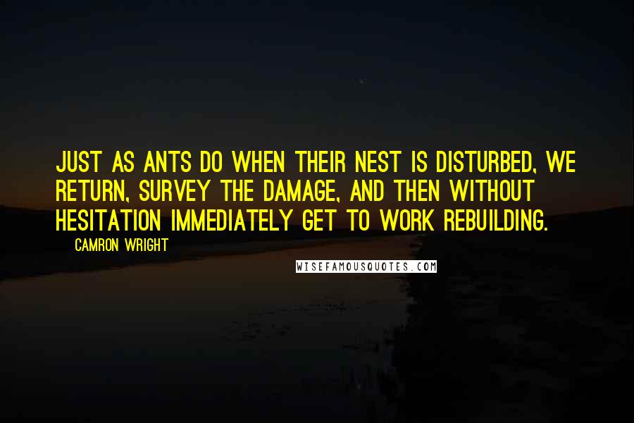 Camron Wright Quotes: Just as ants do when their nest is disturbed, we return, survey the damage, and then without hesitation immediately get to work rebuilding.