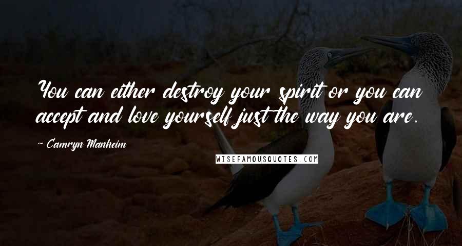 Camryn Manheim Quotes: You can either destroy your spirit or you can accept and love yourself just the way you are.