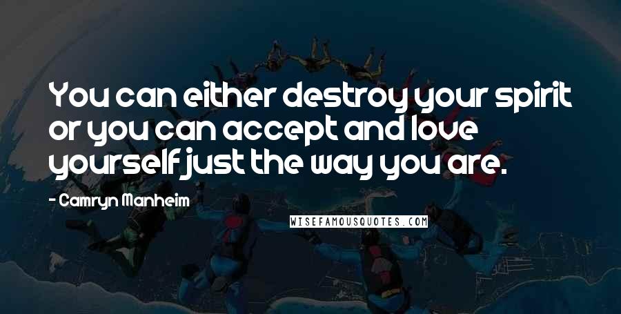 Camryn Manheim Quotes: You can either destroy your spirit or you can accept and love yourself just the way you are.