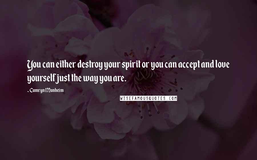 Camryn Manheim Quotes: You can either destroy your spirit or you can accept and love yourself just the way you are.