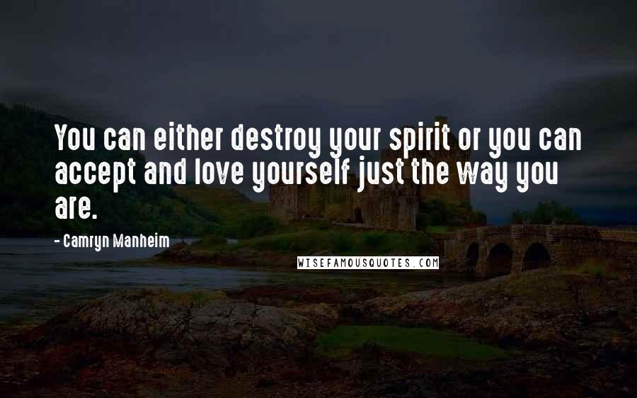 Camryn Manheim Quotes: You can either destroy your spirit or you can accept and love yourself just the way you are.