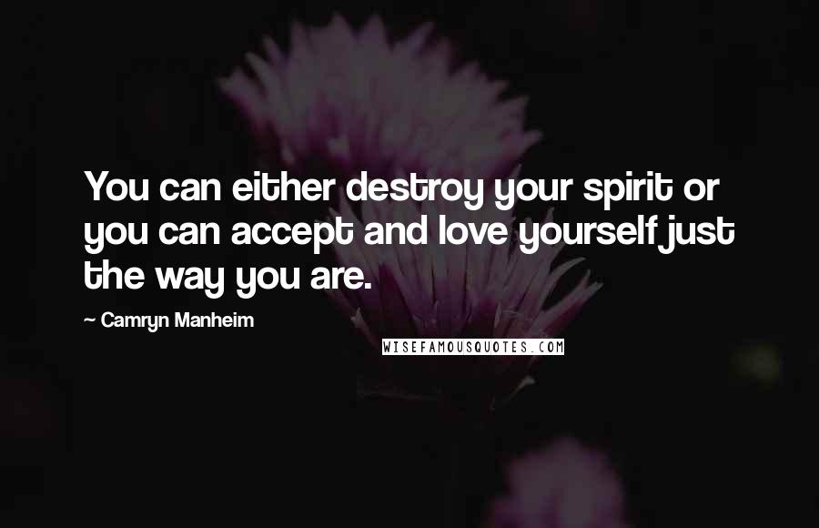 Camryn Manheim Quotes: You can either destroy your spirit or you can accept and love yourself just the way you are.