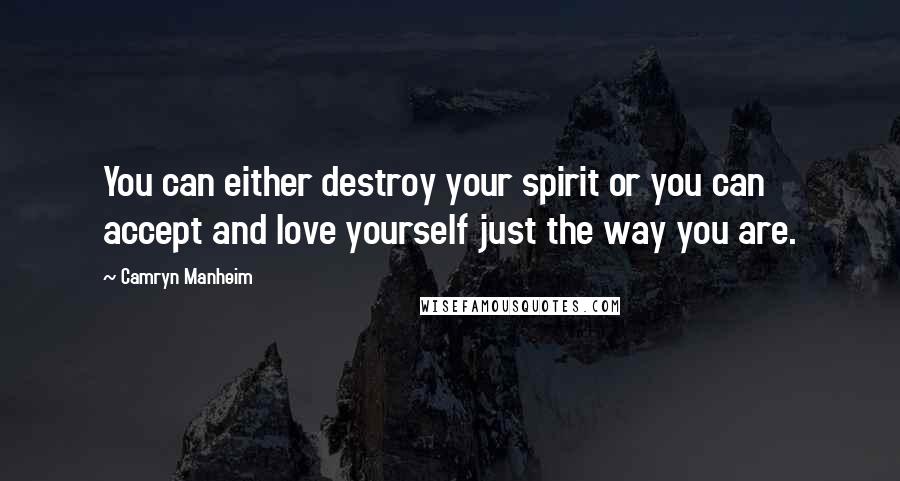 Camryn Manheim Quotes: You can either destroy your spirit or you can accept and love yourself just the way you are.