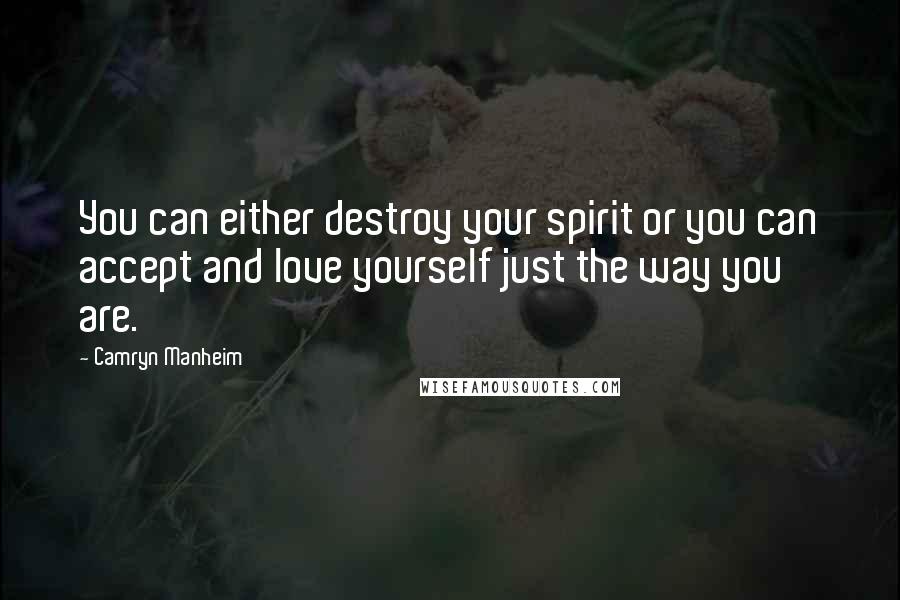 Camryn Manheim Quotes: You can either destroy your spirit or you can accept and love yourself just the way you are.