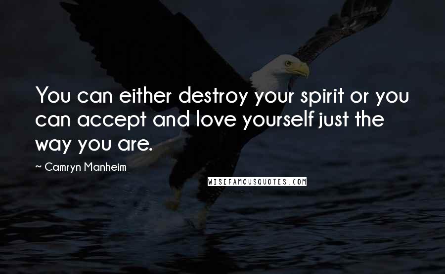 Camryn Manheim Quotes: You can either destroy your spirit or you can accept and love yourself just the way you are.