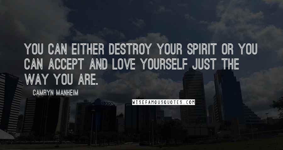 Camryn Manheim Quotes: You can either destroy your spirit or you can accept and love yourself just the way you are.