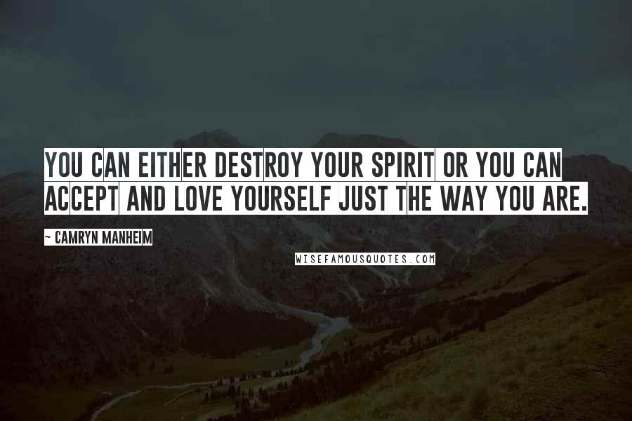 Camryn Manheim Quotes: You can either destroy your spirit or you can accept and love yourself just the way you are.