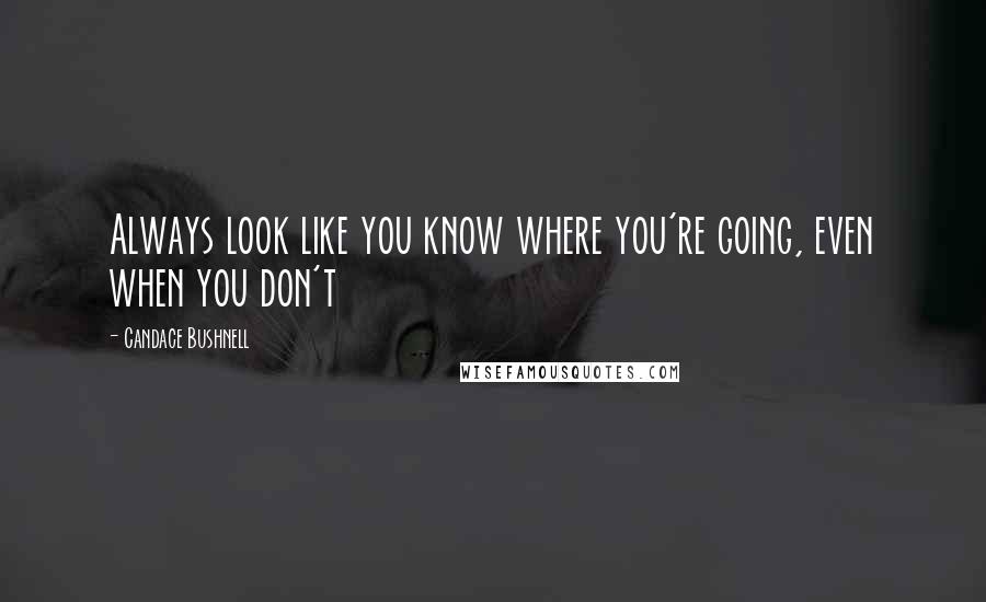 Candace Bushnell Quotes: Always look like you know where you're going, even when you don't