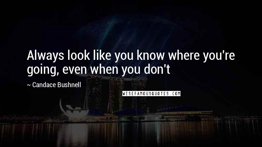 Candace Bushnell Quotes: Always look like you know where you're going, even when you don't