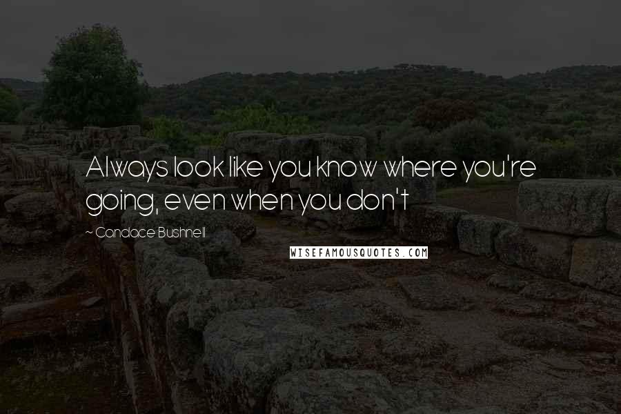 Candace Bushnell Quotes: Always look like you know where you're going, even when you don't