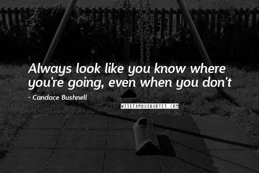 Candace Bushnell Quotes: Always look like you know where you're going, even when you don't