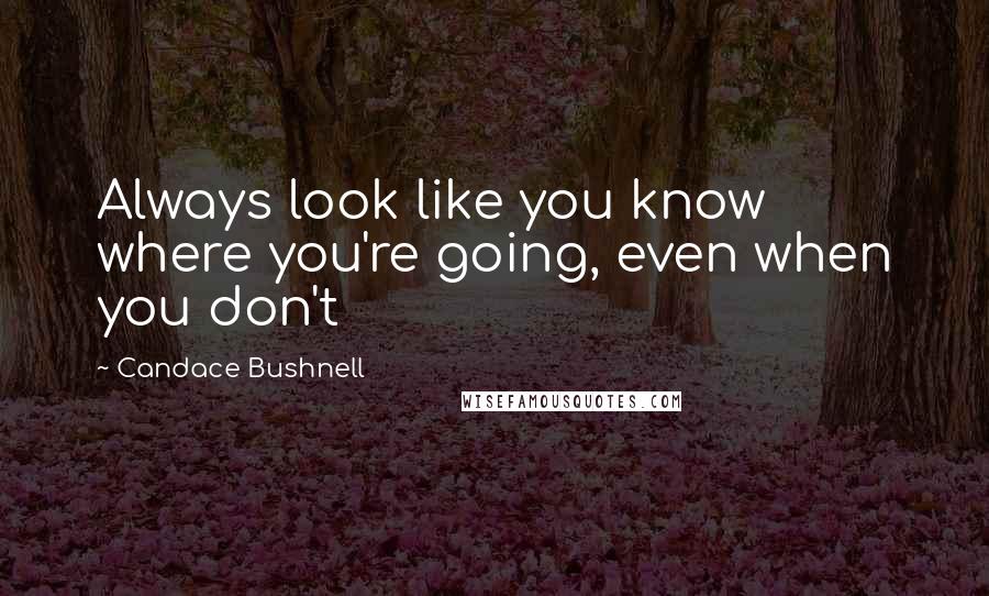 Candace Bushnell Quotes: Always look like you know where you're going, even when you don't