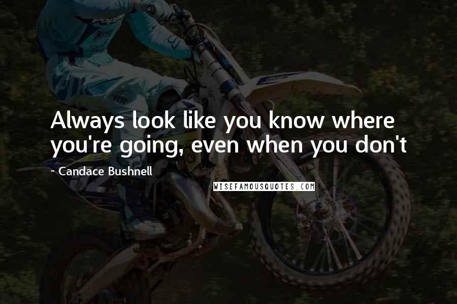 Candace Bushnell Quotes: Always look like you know where you're going, even when you don't