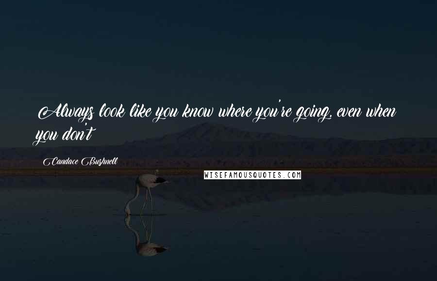 Candace Bushnell Quotes: Always look like you know where you're going, even when you don't