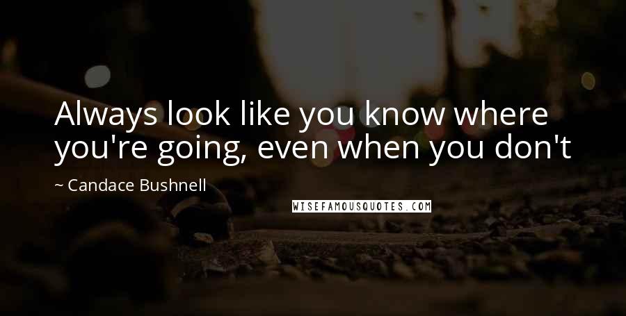 Candace Bushnell Quotes: Always look like you know where you're going, even when you don't