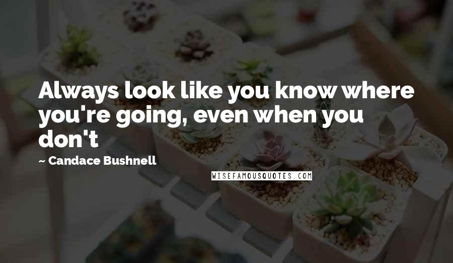 Candace Bushnell Quotes: Always look like you know where you're going, even when you don't