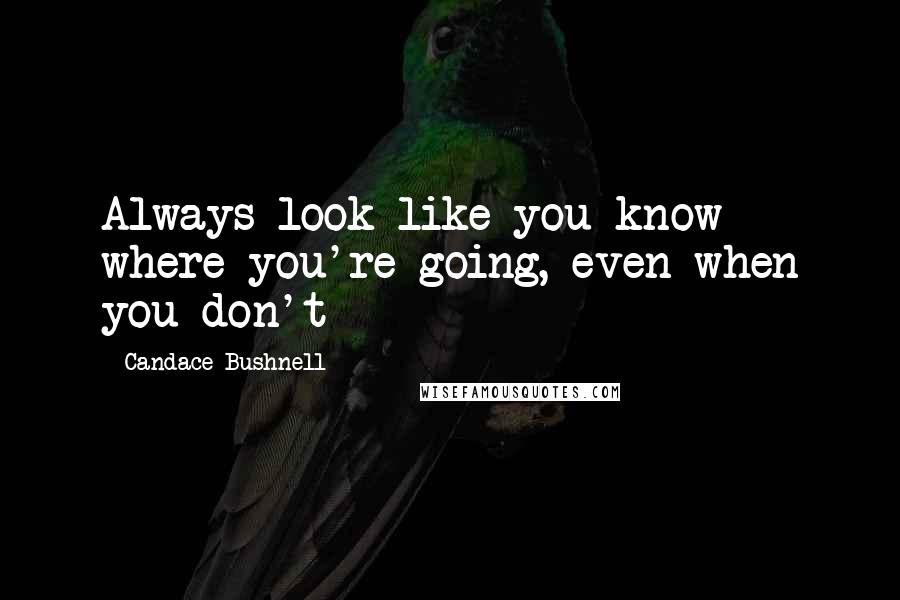 Candace Bushnell Quotes: Always look like you know where you're going, even when you don't