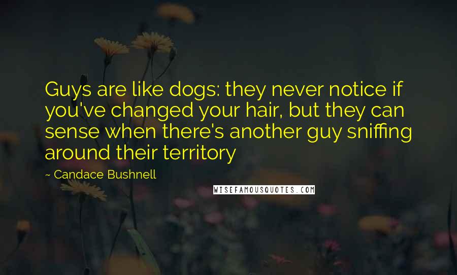 Candace Bushnell Quotes: Guys are like dogs: they never notice if you've changed your hair, but they can sense when there's another guy sniffing around their territory