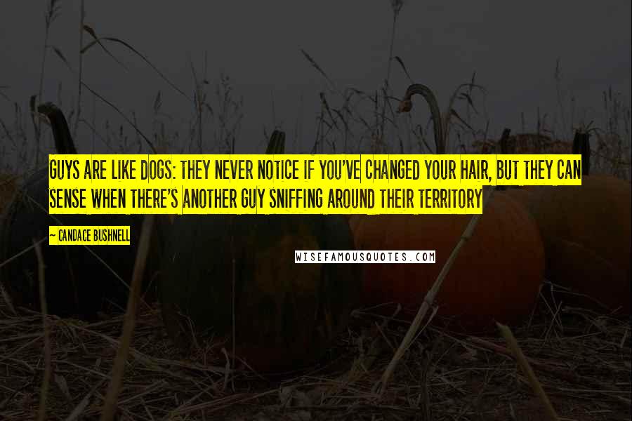 Candace Bushnell Quotes: Guys are like dogs: they never notice if you've changed your hair, but they can sense when there's another guy sniffing around their territory