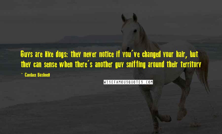 Candace Bushnell Quotes: Guys are like dogs: they never notice if you've changed your hair, but they can sense when there's another guy sniffing around their territory