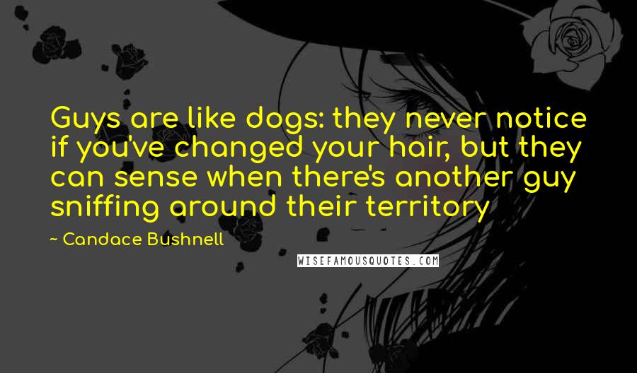 Candace Bushnell Quotes: Guys are like dogs: they never notice if you've changed your hair, but they can sense when there's another guy sniffing around their territory