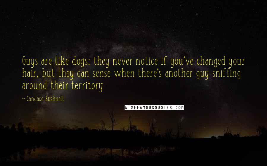 Candace Bushnell Quotes: Guys are like dogs: they never notice if you've changed your hair, but they can sense when there's another guy sniffing around their territory