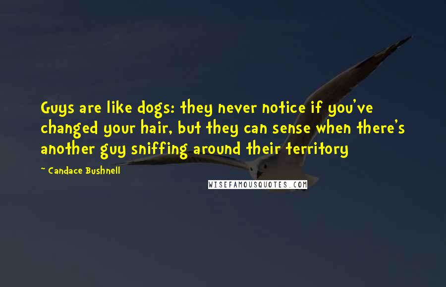 Candace Bushnell Quotes: Guys are like dogs: they never notice if you've changed your hair, but they can sense when there's another guy sniffing around their territory