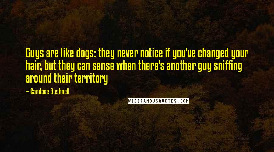 Candace Bushnell Quotes: Guys are like dogs: they never notice if you've changed your hair, but they can sense when there's another guy sniffing around their territory