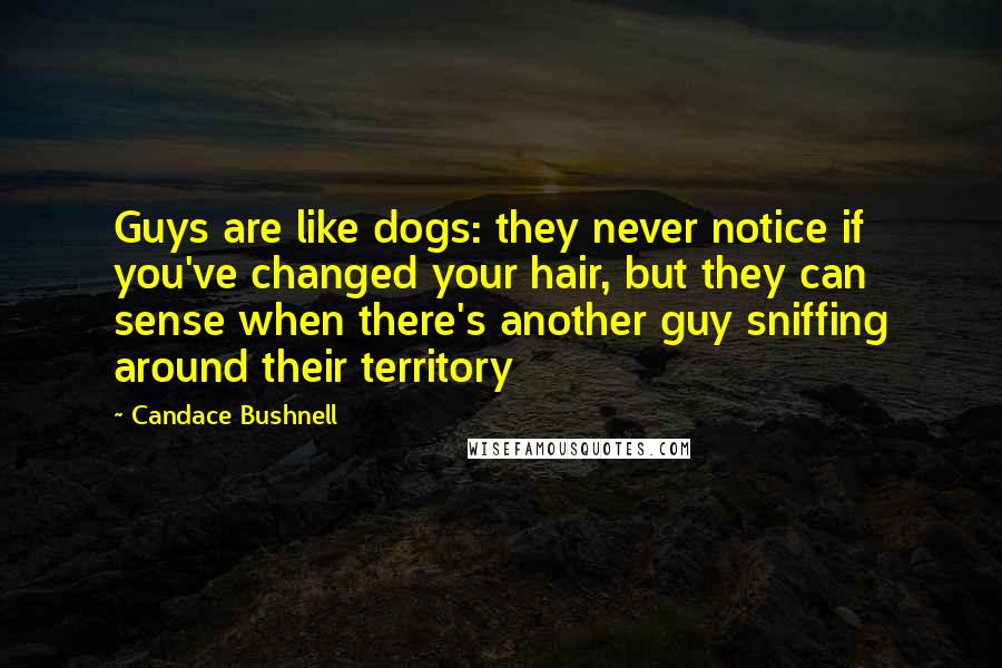 Candace Bushnell Quotes: Guys are like dogs: they never notice if you've changed your hair, but they can sense when there's another guy sniffing around their territory