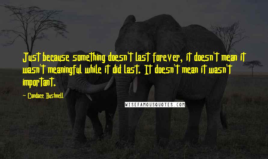 Candace Bushnell Quotes: Just because something doesn't last forever, it doesn't mean it wasn't meaningful while it did last. It doesn't mean it wasn't important.