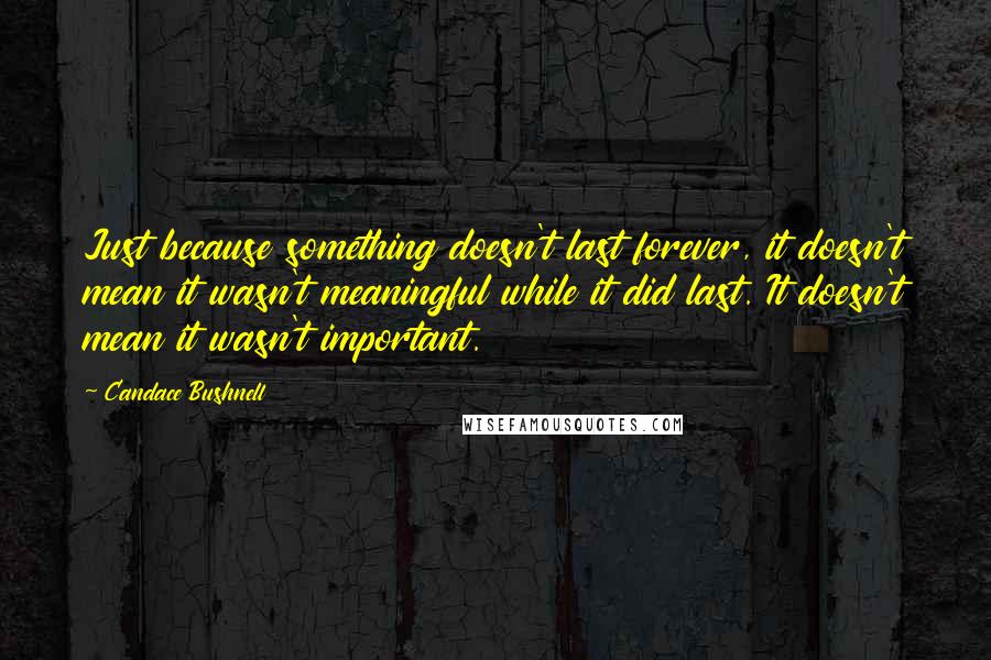 Candace Bushnell Quotes: Just because something doesn't last forever, it doesn't mean it wasn't meaningful while it did last. It doesn't mean it wasn't important.