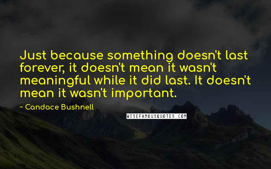 Candace Bushnell Quotes: Just because something doesn't last forever, it doesn't mean it wasn't meaningful while it did last. It doesn't mean it wasn't important.