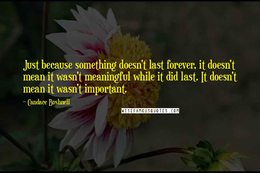 Candace Bushnell Quotes: Just because something doesn't last forever, it doesn't mean it wasn't meaningful while it did last. It doesn't mean it wasn't important.