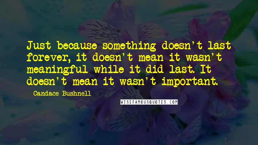 Candace Bushnell Quotes: Just because something doesn't last forever, it doesn't mean it wasn't meaningful while it did last. It doesn't mean it wasn't important.