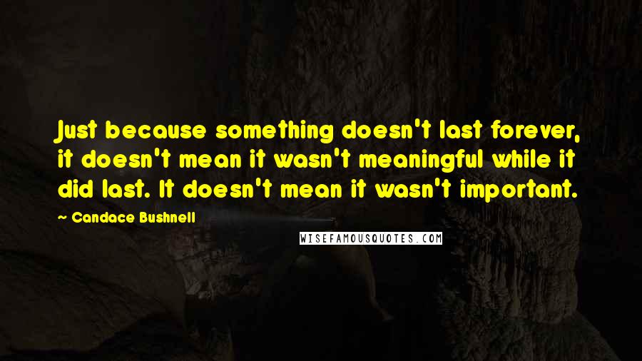 Candace Bushnell Quotes: Just because something doesn't last forever, it doesn't mean it wasn't meaningful while it did last. It doesn't mean it wasn't important.