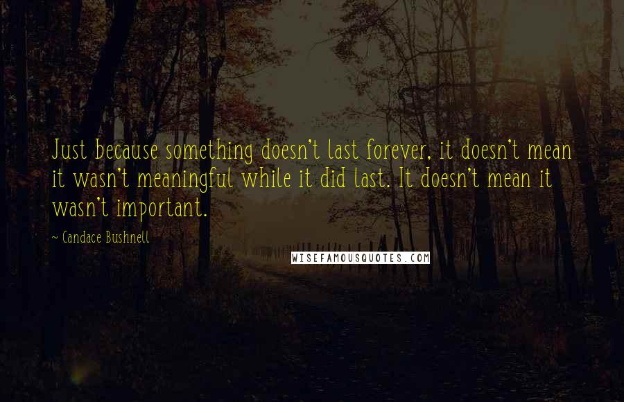 Candace Bushnell Quotes: Just because something doesn't last forever, it doesn't mean it wasn't meaningful while it did last. It doesn't mean it wasn't important.