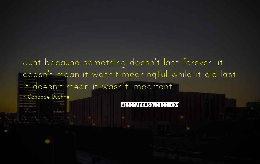 Candace Bushnell Quotes: Just because something doesn't last forever, it doesn't mean it wasn't meaningful while it did last. It doesn't mean it wasn't important.