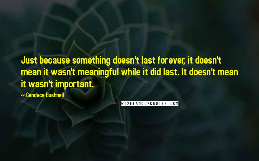 Candace Bushnell Quotes: Just because something doesn't last forever, it doesn't mean it wasn't meaningful while it did last. It doesn't mean it wasn't important.
